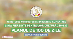 Consultanță telefonică gratuită despre granturi și credite pentru afaceri în domeniul agriculturii