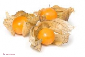 Physalis – lampioane chinezești în grădina ta din R. Moldova
