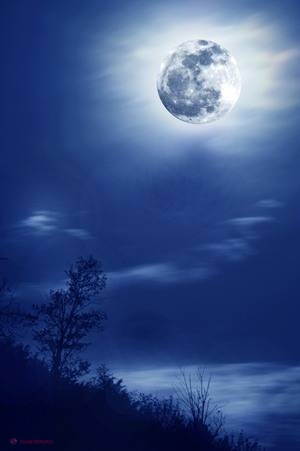 Fenomen SPECTACULOS pe cer de Crăciun