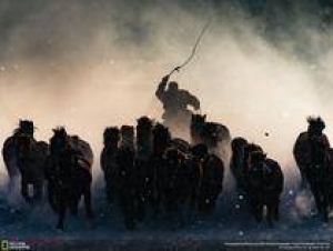 FOTO // Imaginile câştigătoare ale concursului de fotografie Naţional Geographic Traveler 2016.