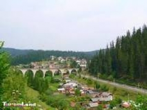Un agricultor a obținut o plantă care produce, în același timp, și cartofi și vinete