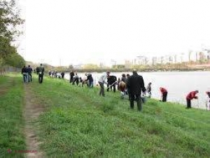 Fondul forestier al R. Moldova se va ÎMBOGĂȚI cu sute de mii de copaci