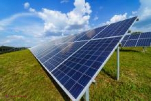 Contestații respinse în cazul a patru companii, nemulțumite că nu au fost admise la licitația pentru instalarea parcurilor fotovoltaice mari