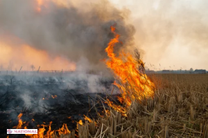 Pericol de incendiu: Cod galben pentru 24.09-30.09.2025