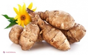 Sfatul nutriționistului // Legume misterioase – topinamburul