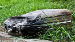 A văzut un geamantan vechi aruncat în iarbă! Prima dată a trecut pe lângă el, dar apoi a auzit sunete ciudate din interior