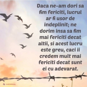 LECŢII pline de înţelepciune care îţi vor linişti sufletul