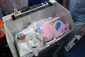 Un câine a devenit erou naţional după ce a salvat un bebeluş aruncat la gunoi