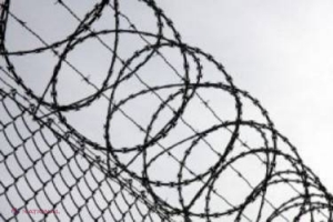 I s-a făcut dor de libertate și a vrut să evadeze