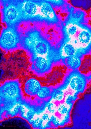 Cauza APARIȚIEI CANCERULUI este una neașteptată! Iată de ce a fost ținută SECRET până acum!