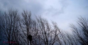 AVERTIZARE meteorologică! Vânt puternic în R. Moldova