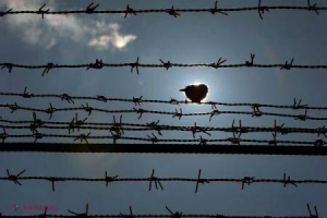 CULMEA // A evadat din închisoare în 1976 a cerut să se întoarcă după gratii în 2015