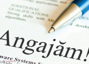 Salarii de până la 800 de euro lunar pentru candidații cu studii medii