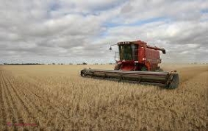 Călătorie gastronomică în jurul lumii – Statele Unite ale Americii