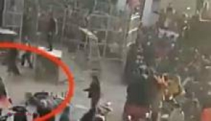 VIDEO // Un tigru a scăpat din cușcă și a ajuns între sute de oameni