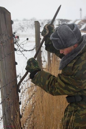 „Pădurea Domnească” nu a scăpat de „Cortina de fier”