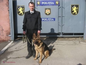 Djec, EROUL poliţiştilor, a „comis-o” din nou. Pe cine a PRINS de această dată