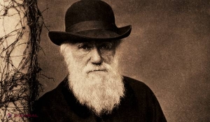 Darwin NU a afirmat că omul se trage din maimuţă. Cine ar fi strămoşul oamenilor?