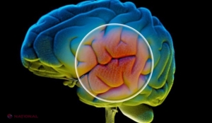 Avertismentul specialiștilor: Una din trei persoane va suferi o afecţiune a creierului