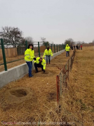 În fiecare județ din România vor fi plantați câte 100 de arbori pentru marcarea CENTENARULUI Unirii: Localitatea din R. Moldova care s-a alăturat acestei idei