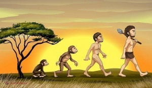 Omul NU SE TRAGE din maimuţă! O nouă DESCOPERIRE infirmă teoriile acceptate despre evoluţia umană