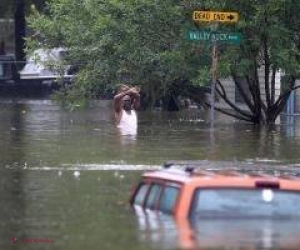 Uraganul Irma. Unde își adăpostesc vedetele mașinile de lux