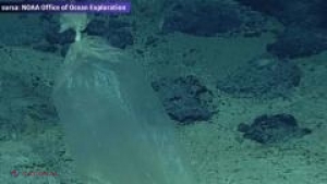 POLUARE // Pungă de plastic descoperită în cel mai adânc loc de pe pământ