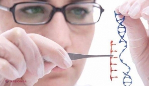 Premieră MONDIALĂ în lumea ştiinţei. Cauza uneia dintre cele mai înfiorătoare boli, de care ne temem toţi, a fost ELUCIDATĂ