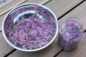 Rețeta LONGEVITĂȚII de la românul care a trăit 138 de ani