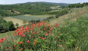  FOTO // O fereastră spre Serbia cea atemporală