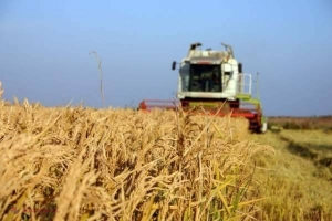 Agricultorii vor primi în toamnă compensațiile promise de Guvern