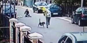 VIDEO // Câinele erou: momentul în care un maidanez pune pe fugă un bărbat care încearcă să tâlhărească o femeie