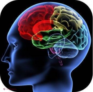 Vârsta de la care scad capacitățile intelectuale