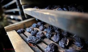 Rușii RETURNEAZĂ 21 tone de prune uscate moldovenești