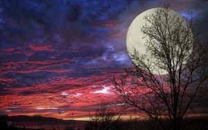 Diseară, cerul ne va oferi un spectacol grandios. SUPERLUNA se află la cea mai mică distanţă de Terra