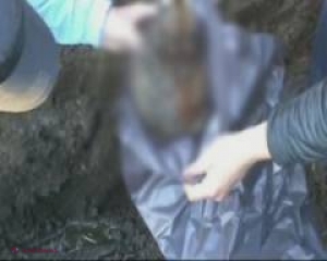 Omor descoperit după șapte ani. Bărbat omorât și îngropat lângă iazul din localitate
