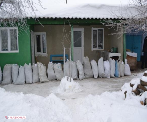 26 de saci cu canabis depistați la Cantemir