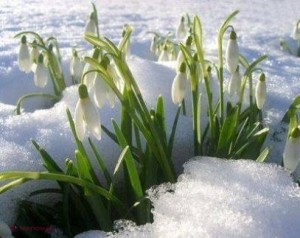 DATE METEO // Cum va fi timpul în ultima săptămână de iarnă