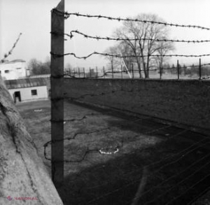Arhivele Holocaustului de la ONU se redeschid după 70 de ani: Capitole întregi din istorie s-ar putea rescrie 
