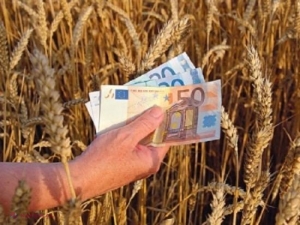 ACUZAȚIE: Agricultorii moldoveni riscă să piardă fondurile europene