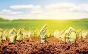 România își va finanța agricultura în acest an cu 3,5 milioane de euro