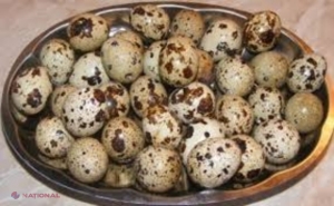 BENEFICII // Cură cu ouă de prepeliță