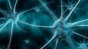 AVERTISMENTUL Statelor Unite: Acest VIRUS s-ar putea propaga „ca un foc de pădure”