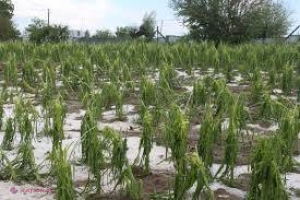 Amenințare DEVASTATOARE asupra R. Moldova, eliminată cu ajutorul României 