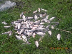 Pescuitul ilegal a adus „în plasa” oamenilor legii peste 100 de cetățeni ai R. Moldova