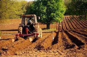 147 de tineri din satele R. Moldova și-au deschis propriile afaceri