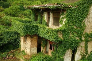 GALERIE FOTO // Oraşul-fantomă, recucerit de natură! Ce s-a întâmplat aici