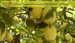 Tot ce ştiaţi despre vitamina C este GREŞIT iar mulţi oameni se expun PERICOLELOR