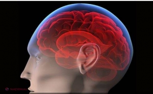 STUDIU// O legătură directă între CREIER şi sistemul IMUNITAR, descoperită de medicii americani