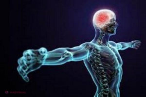 Ce se întâmplă în organism atunci când strănutăm. Curiozităţi despre corpul uman